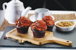 Chocolate Frosted Cupcakes